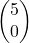 \begin{pmatrix}5\\0\end{pmatrix}